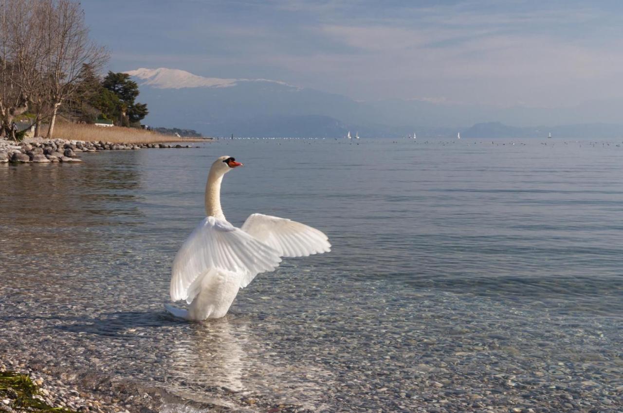 Alice'S Nest-Lake View House Padenghe sul Garda Exterior foto